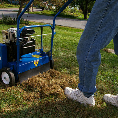 Dethatching your Lawn