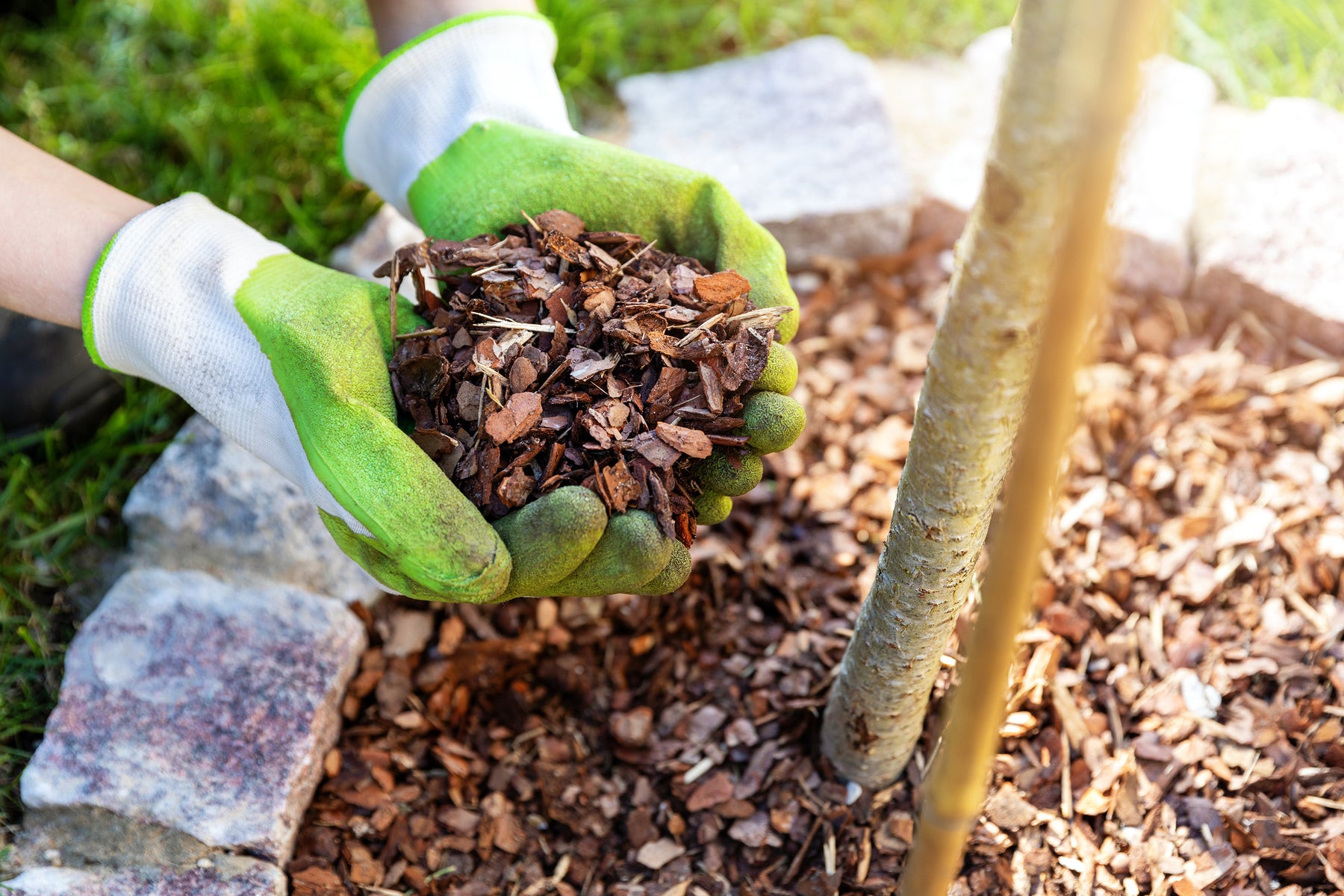 Mastering DIY Mulch in NZ: Expert Tips for Your Garden Beds with Mulching Enhancement