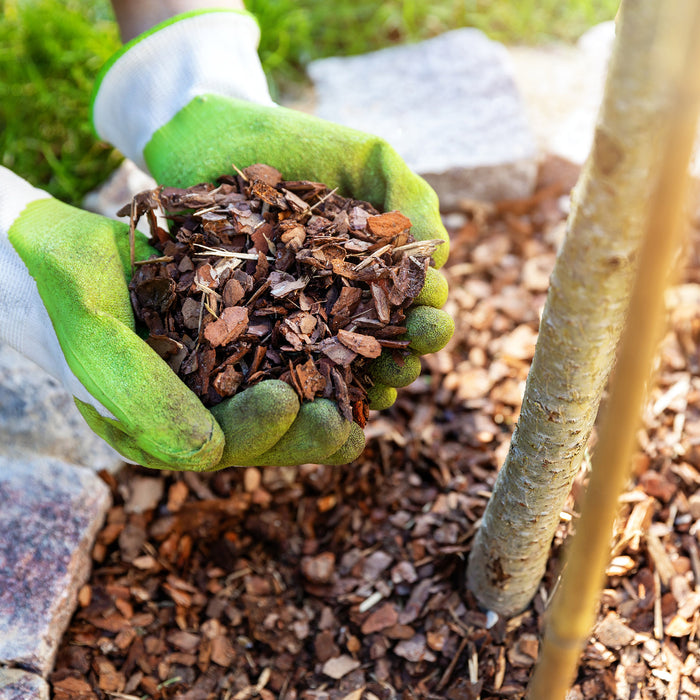 Mastering DIY Mulch in NZ: Expert Tips for Your Garden Beds with Mulching Enhancement