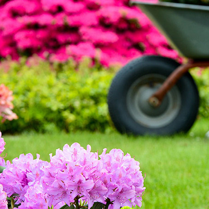 Cubag's Winter Maintenance Gardening Guide 2016