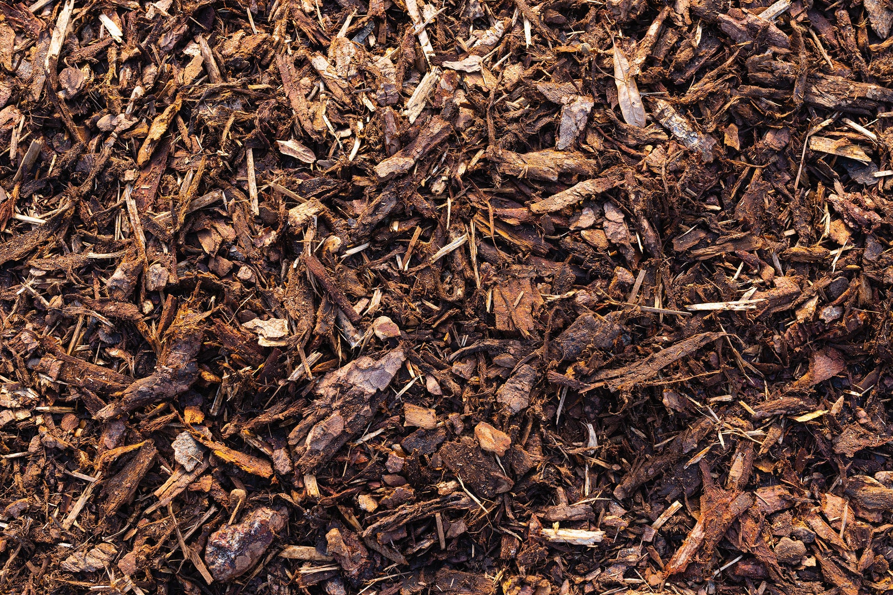 Harnessing the Power of Mulch: Protect Your Plants with Smart Insulation Against Extreme Temperatures