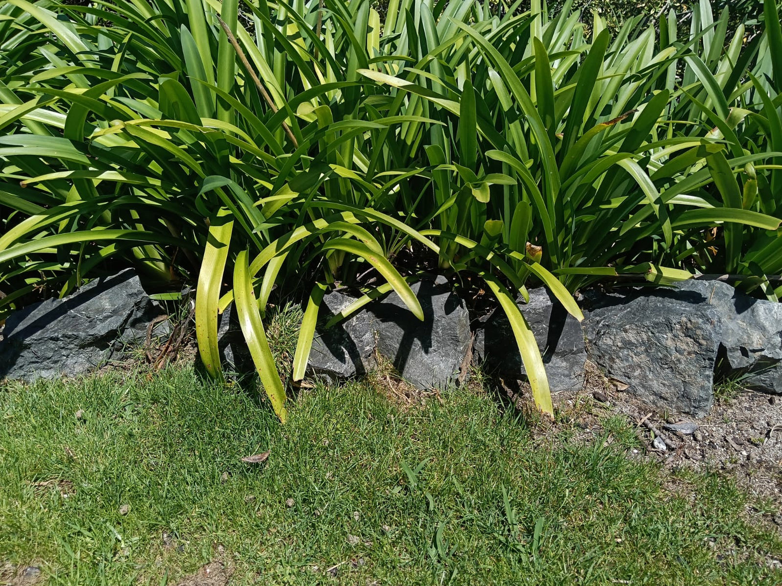 Garden Edging Rocks Quarter Cubic Metre Bulk Bag — Cubag